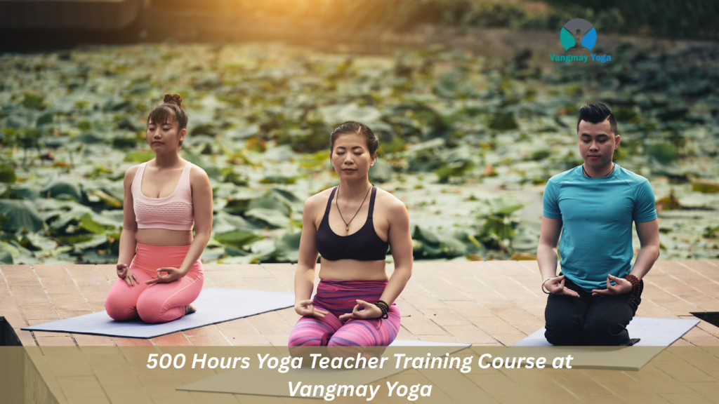 500 Hours Yoga Teacher Training Course at Vangmay Yoga